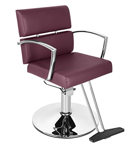 Funnylife Hydraulic Pump Styling Chairs for Salon Hair Stylist Barber Chair for Hair Cutting Heavy Duty All Purpose Salon Styling Chair