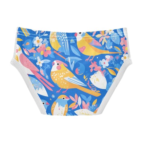 KLL Bird Paradise Boys Toddler Comfort Training Underwear Breathable Children Panties2