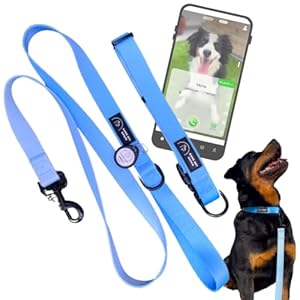 GoodBoyRoger COLLAR 2025 Lokalisierbares Hellblaues Halsband