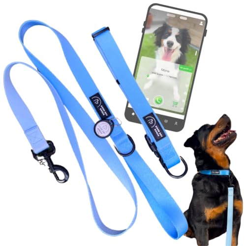 GoodBoyRoger COLLAR 2025 Lokalisierbares Hellblaues Halsband