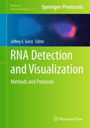 RNA Detection and Visualization: Methods and Protocols: 714 (Methods in Molecular Biology) view 2