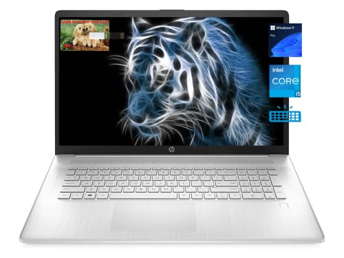 Image of HP [Windows 11 Pro] 2023 Pavilion Business Laptop, Intel Core i5-1155G7, 17.3 inch FHD IPS Display, 16GB RAM, 1TB SSD, Intel Iris Xe Graphics, Backlit Keyboard, WiFi, Type-C, Long Battery Life, Durlyfish