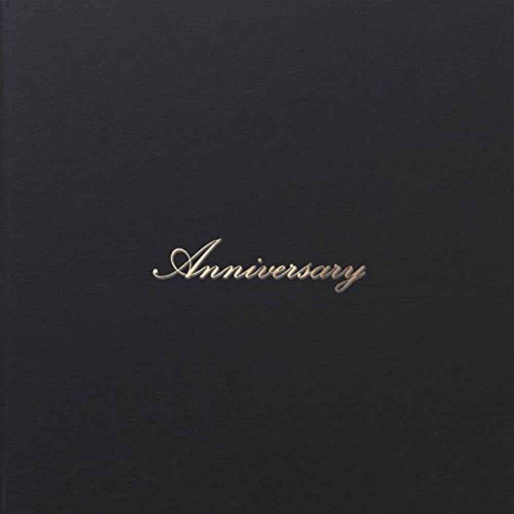 Amazon.co.jp: 写真 アルバム 2面 2L2枚 文字のみ 黒