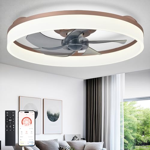 DLLT LED Ceiling Fan