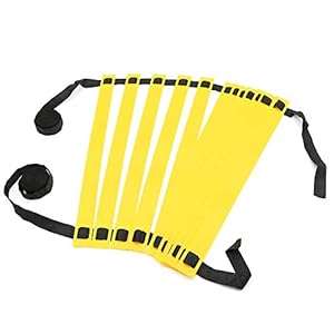 Fortitude Sports Agility Ladder 6m 12 Rungs With Carry Bag | Football Ladder For Speed Training, Footwork and Agility Training | Speed Ladder for Sports Performance, Fitness, Soccer