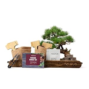 Vintage Bonsai Starter Kit – 4x Bonsai Bomen (Organische Zaden) – Uniek Cadeau Idee – Alles wat u nodig heeft om uw…