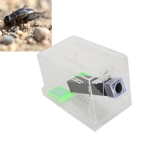 ZenithAur Cricket-Keeper mit Röhren für die Unterbringung von Lebenden, durchsichtiger Cricket-Lebensraum aus Acryl mit Futterstation und herausziehbarer Ablage für einfache (Small