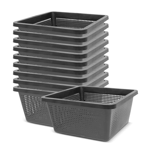 blizz-z Pflanzkorb eckig 19 x 19 cm x 9 cm (10 Stück) | Teichkorb, Wasserpflanzkorb, Teichbepflanzung, Gewächshaus, wetterfester Kunststoff Lange Lebensdauer