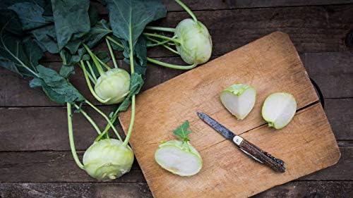 White Vienna Kohlrabi Seeds for Planting (500mg) | Non GMO, Heirloom, USA Seeds | Asian Chinese Vegetable, German Turnip, Brassica oleracea Gongylodes Group