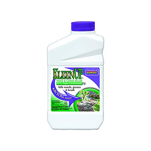 Bonide (BND7461) - KleenUp Weed Killer Concentrate, Weed and Grass Control 41% Super