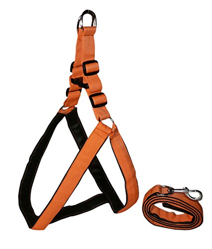 Ocean Wave Nylon with Padding Dog Harness, Orange (1.25-inch) (B01N2ULP73) Amazon Price History, Amazon Price Tracker