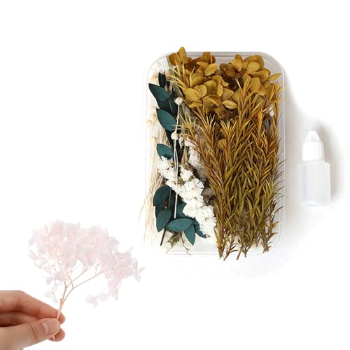 Set natural de flores secas para decoración artesanal miniatura 3