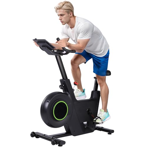 Exercise Bike,Indoor Cycling Bike with LCD Display & iPad Holder,