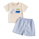 Lucikamy Toddler Baby Boy Easter Outfits Bunny Letter Print Short Sleeve T-shirt Top Casual Shorts Sets 2Pcs Summer Clothes (U carrot, 2-3 Years)