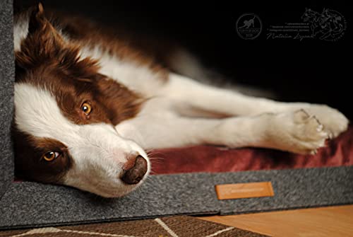 Rexproduct - PetHome Hundehütte mit Liegefläche und Dach I Biss- und Kratzfest I Gute Schalldämmung I Umweltfreundlich & Einfach zu Montieren I Größe S (60x42x43 cm) - Dunkelgrau und Rot
