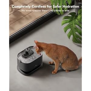 Petlibro Cat Water Fountain Wireless Pet Fountain Battery Operated 25l84oz Dockstream Automatic Dog Water Dispenser for Drinking with Quiet Pump Inside Stainless Steel Tray Easy Clean Bpafree  Cucciolini Doodles Petlibro cat water fountain wireless pet fountain battery operated 2 5l84oz dockstream automatic dog water dispenser for drinking with quiet pump inside stainless steel tray easy clean bpa free   cucciolini doodles