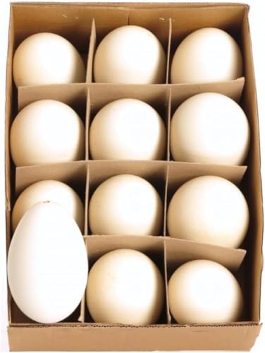12 große ausgeblasene Gänseeier von Gehlmann - 8-10 cm - Natürliche Osterdeko - Osterei - Gänseei