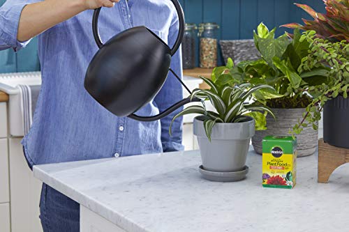 Image of Miracle-Gro Water Soluble All Purpose Plant Food, 8 oz. (2-Pack) | Fertilizer For All Indoor or Outdoor Plants including Roses, Flowers, Vegetables, Houseplants, Trees, and Shrubs