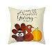 Ozdobna poszewka na poduszkę 1 szt. jesień Halloween dynia poszewki na poduszki 45 x 45 cm jesień na zewnątrz poszewki na poduszki farma dekoracyjna jesienna poszewka bawełniana poszewka na poduszkę Święto Dziękczynienia poszewka na poduszkę E