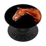 Support extensible pour regarder des vidéos, prendre des photos de groupe, utiliser en mode main libre avec Facetime, Zoom et Skype