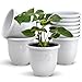 Plastard Übertopf 10er Set Durchmesser 21 cm Weiß Blumentopf für Innen und Außen aus Kunststoff Pflanztopf für Balkon Terrasse Pflanzkübel Kräutertopf