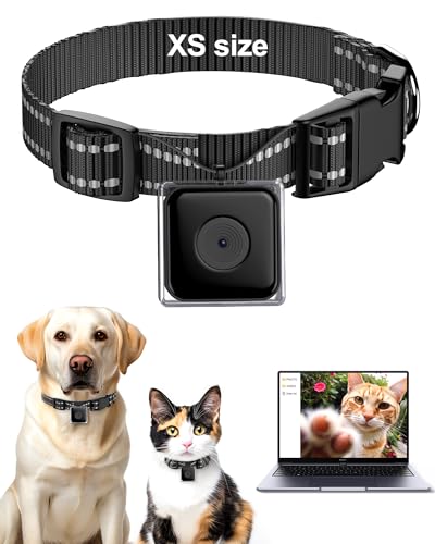 LuminiCam Cat Camera Collar, No App/No WiFi,1080P Video Recording Cam for Pet, XS-Size Collar for...