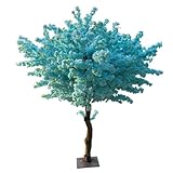 immagine banner Amazon