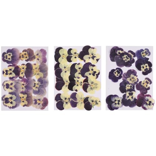 36 piezas flores prensadas secas naturales para manualidades miniatura 1