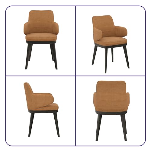 Image of Wakefit Arvia Dining Chair with Arm - Napoli Tan