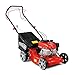 POLLOR Petrol Lawnmower Self-Propelled, 132cc, 4 Stroke 40CM Cutting Width 45L Grass Collector Bag