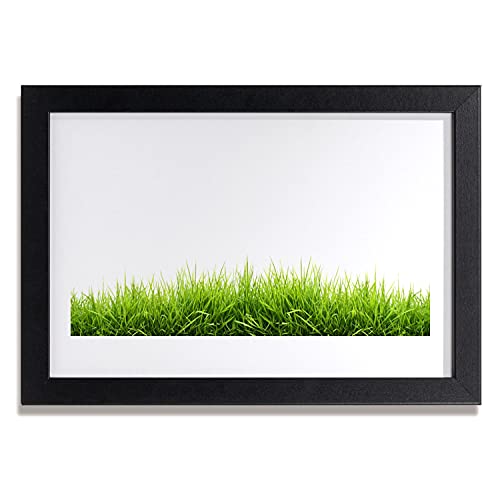 Cadre avec image de plante sauvage pour une décoration de salon naturelle