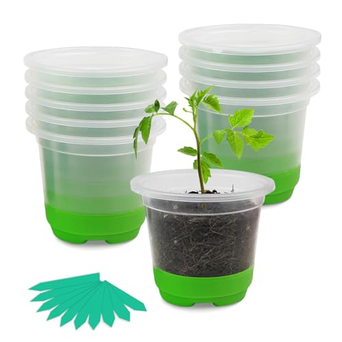 TSKDKIT Anzuchttöpfe Kunststoff dick, 10 Stück Ø10 cm...