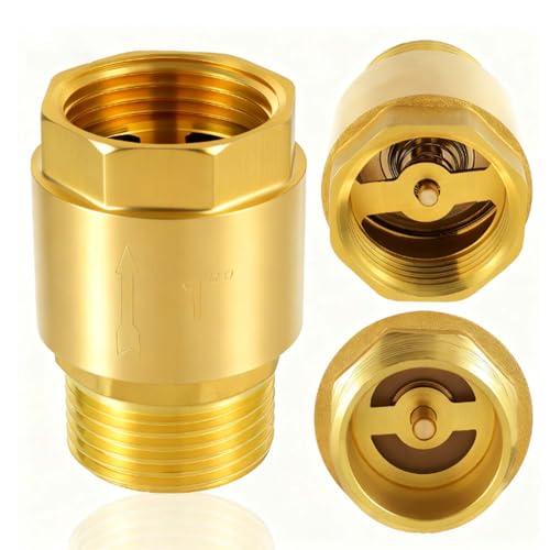 CDDCWZ Clapet anti-retour en laiton 1 pouce, clapet anti-retour pour eaux usées 1 pouce AG à IG, pour pompe, jardin, machine à laver