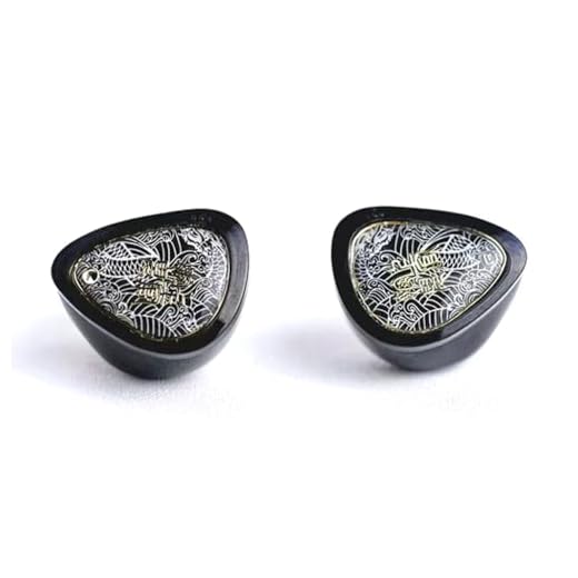 Concept Kart Tangzu Wan'Er S.G 2 Wired IEM Earphone With Mic,10Mm PET Diaphragm Dynamic Driver In Ear Monitor Earbuds With Ergonomic Resin Housing,Detachable 0.78Mm 2-Pin Silver-Plated(Black,Type-C)