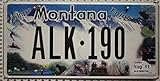 Material aus leichtem Metall US Kennzeichen # USA Nummernschild # Montana