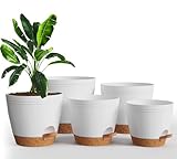 Utopia Home Self Watering Pots for Indoor Plants, Planters for Indoor Plants, Multi-Size Flowerpot, Set of 5 Plant Pots with Drainage & Reservoir, 6.8'/6.4'/5.9'/5.5'/4.9' (White)
