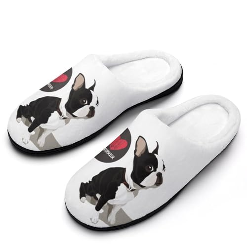 [STEBVI] Xbp  {XguhbO  [V[Y  nEXXbp  Y fB[X  ~ g 􂦂 qp p jp v[g