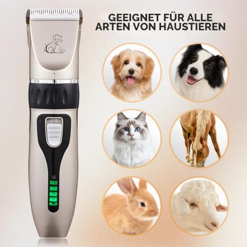 Anluomania Hundeschermaschine, Haarschneidemaschine für Hunde, Tierhaarschneidemaschine, Tierhaarschneider, Leiser Wiederaufladbarer, Kabelloser, mit 4 Führungskamm, für Hunde Katzen Alle Felltypen