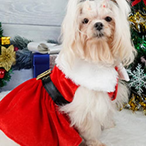 Papai Noel para cão pequeno - Trajes Natal para animais estimação | Roupas engraçadas cosplay para a