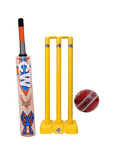 CW Maestro Kashmir Willow Cricket Bat Club Play Tournament Level