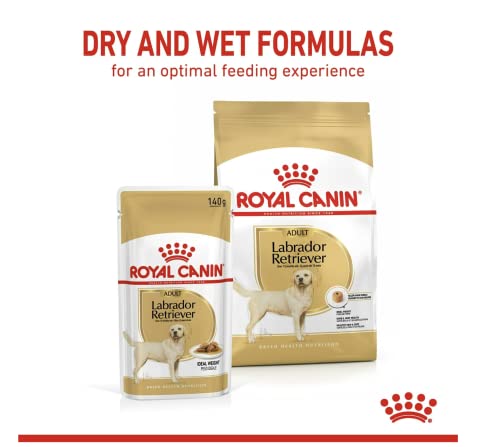ROYAL CANIN E Labrador Erwachsene CAJA 10 x 140 g