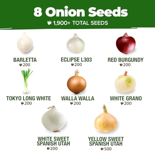 Image of HOME GROWN 8 Onion Variety Mix 1600+ Heirloom Non-GMO Seeds for Planting, High Germination, Red, Yellow, White, Sweet Vidalia & Spanish Bulb Onions, Green Scallions,Indoor Outdoor Garden (Allium cepa)