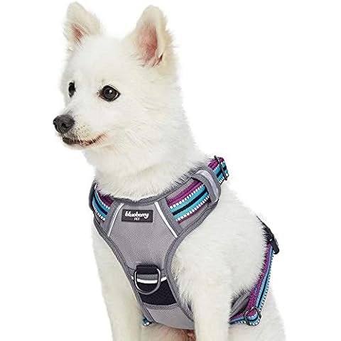 Blueberry Pet 3M Reflective Dog Harness Vest, No Pull Dog Harness Medium Sized Dog, Harness Medium Size Dog, Dog Harness for Large Dogs, Small Dog Harness, Dog Vest for Urban & Outdoor Pet Owners Cover