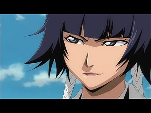 最凶タッグ!?砕蜂＆大前田