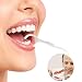 Palillos de dientes de plástico desechables de limpieza oral (100 paquetes, dos...