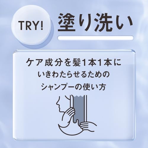 THE ANSWER シーズナルケア SS スーパーラメラシャンプー つめかえ用