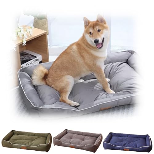 L xbh  xbh ӂӂ ybg\t@[ I[V[Y 600DIbNXtH[hn ybgxbh 薰 łjȂpxbh ~ h g |₷ ΍ Lp \TCYI J[I (O[,