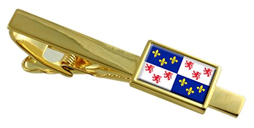 Bandera Clip de Corbata de Oro Provincia de Picardía Francia pasador metálico