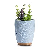 Essential Oil Diffuser, Artificial Succulent Plants Potted Diffusers for Essential Oils with 7 Colors LED Light,Ceramic Cool Mist Super Quiet Aromatherapy Diffuser for Home Office Bedroom
