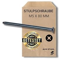 Standard Zuverlässige Zylinderbefestigung: Stulpschraube M5 x 80 mm Zur Zylinder Befestigung, Gewinde mit Spitze, verzinkt